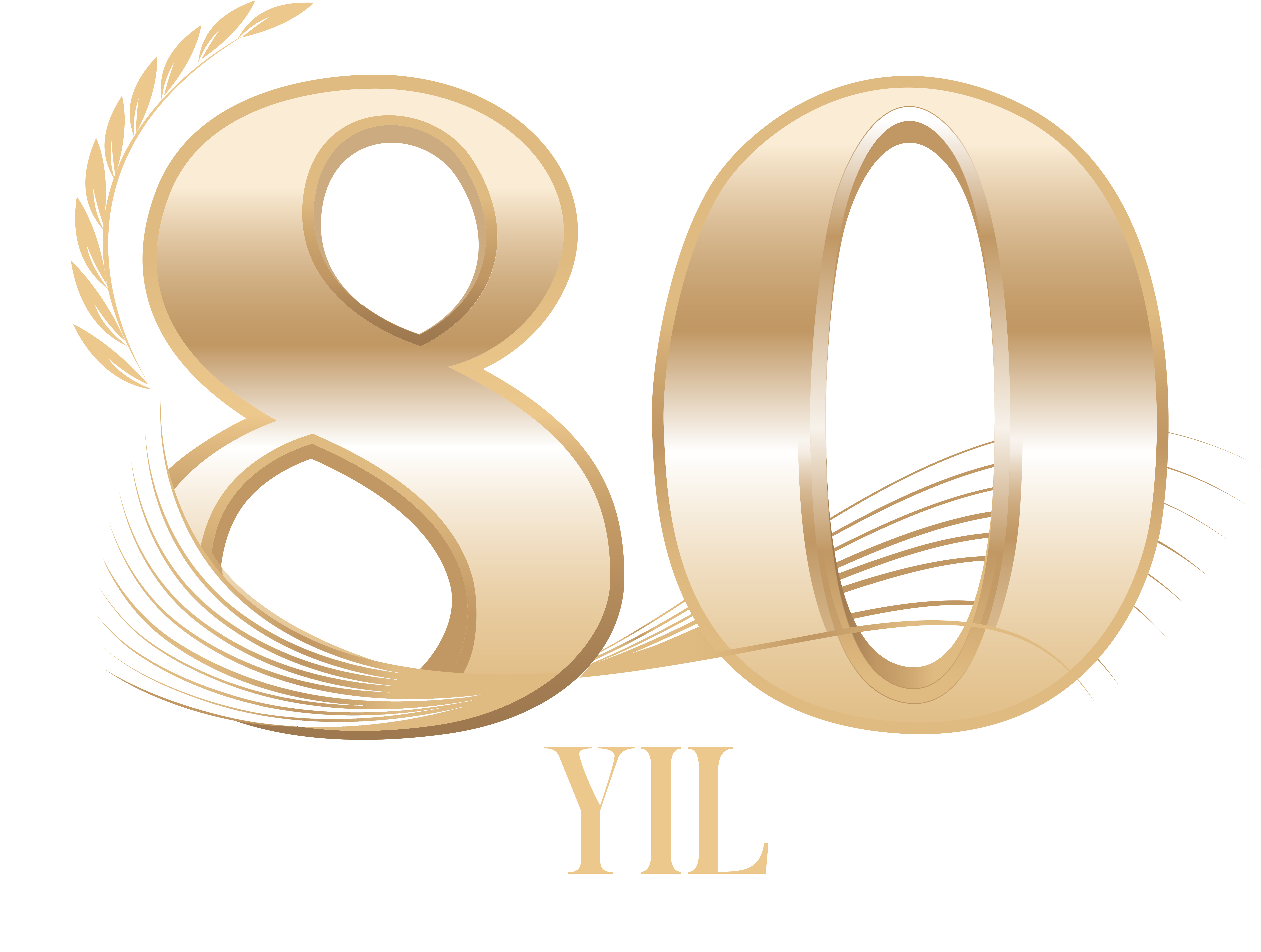 80. Yıl Logo